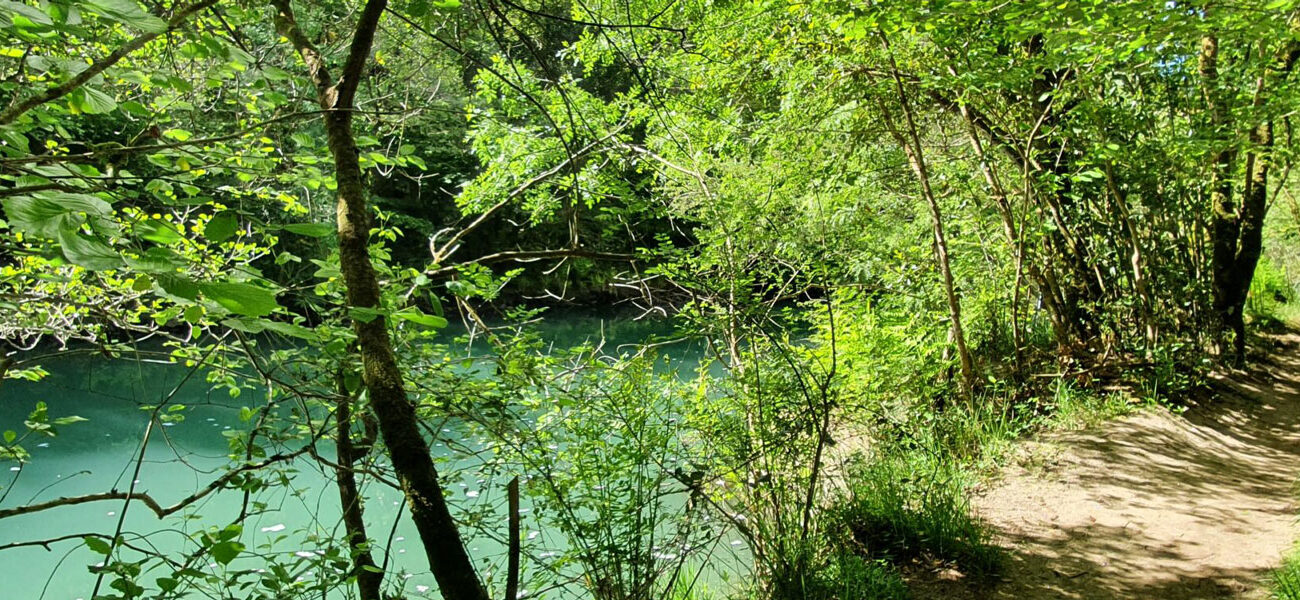 Sendero Fragas do Eume