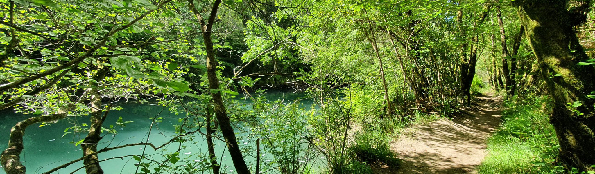 Sendero Fragas do Eume