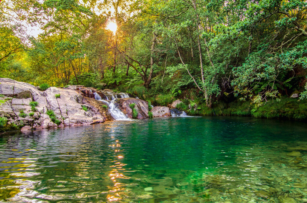 Rafting Río Miño. Tramo de Cequeliños a Barcela (Arbo)